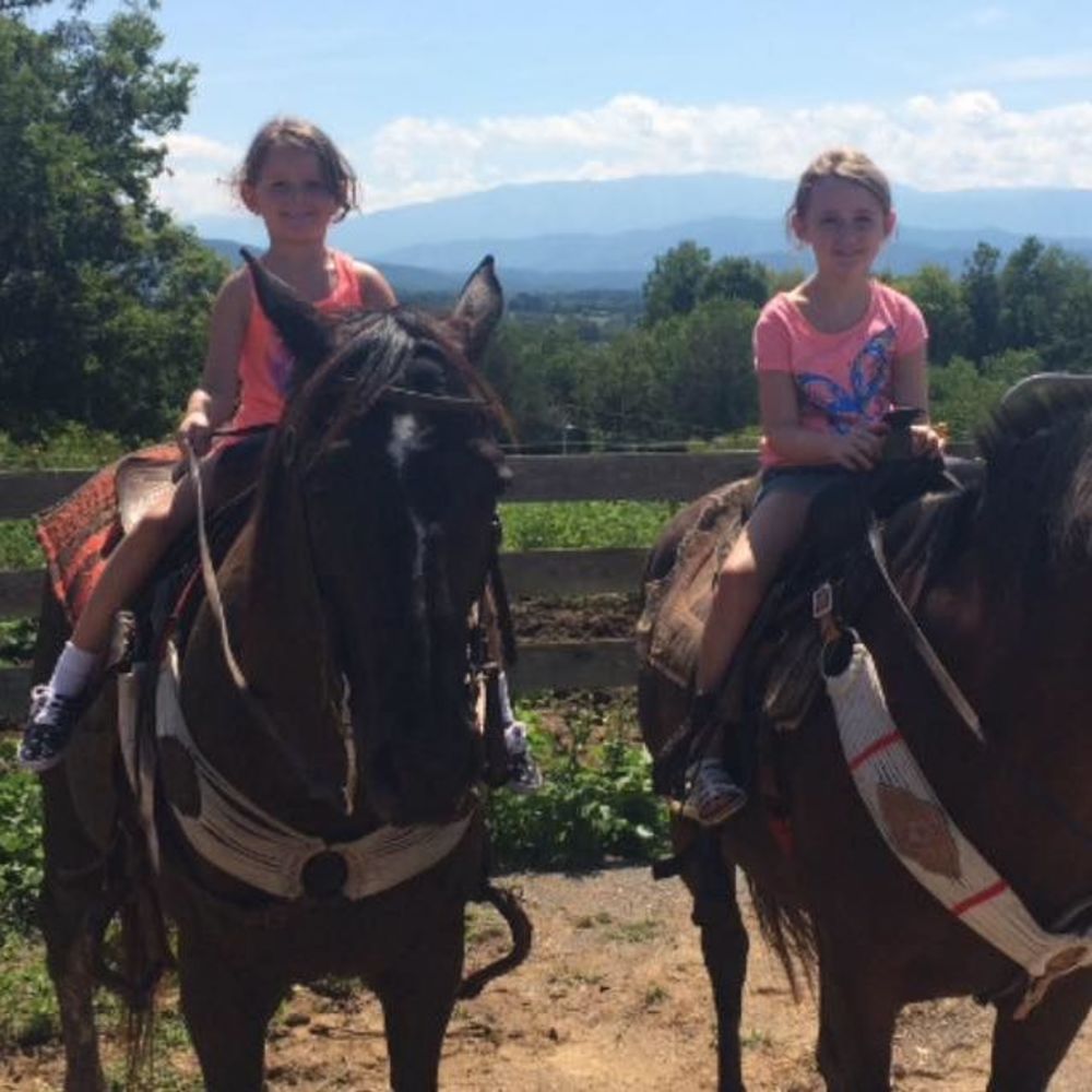 Meet your Posher, Michelle